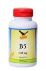 Vitamin B5 500mg, 100 Kaps (Pantothensäure)