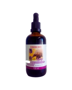 Artischocken-Extrakt, 100ml - RF
