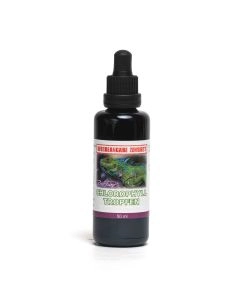 Chlorophyll Tropfen, 50 ml - RF