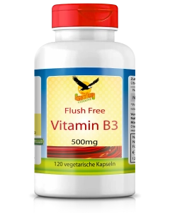 Vitamin B3 Niacinamid 500mg, 120 Kapseln Dose, ohne Flush-Rötung