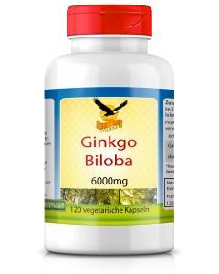 Ginkgo Biloba, 120 vegetarische Kapseln