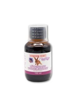 Löwenzahn Wurzel Extrakt, 100 ml - RF