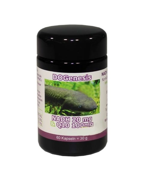 NADH 20mg & Q10, 100mg - RF
