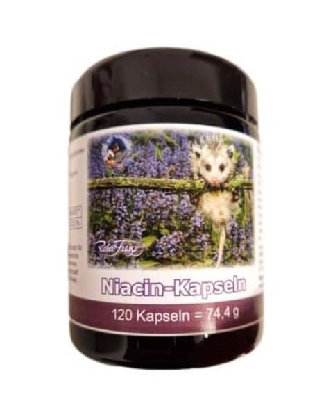 Niacin, 120 Kapseln - RF