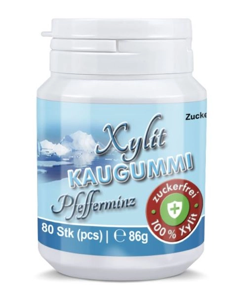 Xylit Kaugummi PFEFFERMINZ, 80 Stk.